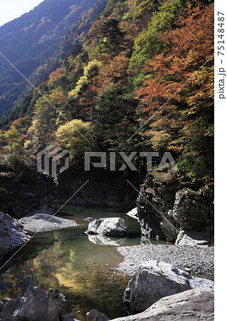 川迫川渓谷　紅葉 75148487