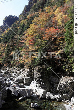 川迫川渓谷　紅葉 75148488