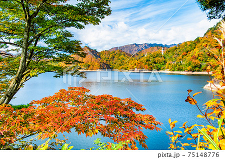 福島県 紅葉の田子倉湖 75148776