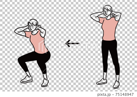 スクワット 運動 女性 エクササイズ イラスト 手描き スクワット 運動 女性 エクササイズ イラスト 手描き 75148947