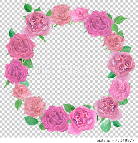 ピンク色のバラのリース　水彩イラスト 75149977