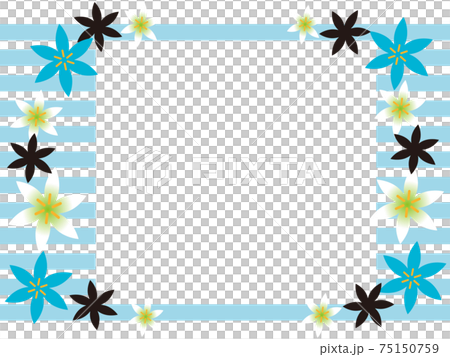 Zephyrlily blue white background Zephyrlily blue white background 75150759