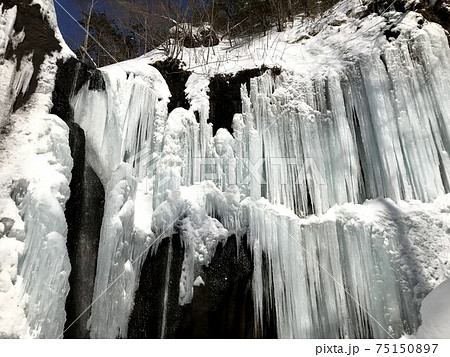 冬の滝　カジカ沢の滝　氷瀑 75150897