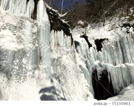 冬の滝 カジカ沢の滝 氷瀑 冬の滝 カジカ沢の滝 氷瀑 75150901