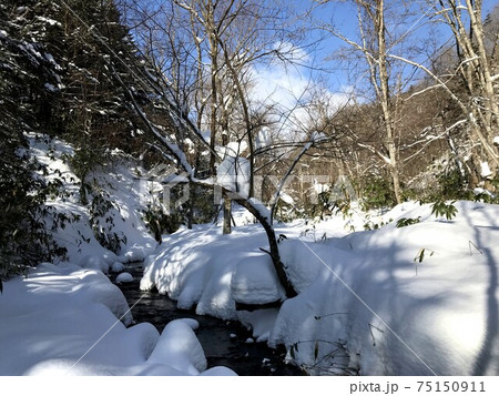 冬の滝 カジカ沢の滝 氷瀑 冬の滝 カジカ沢の滝 氷瀑 75150911