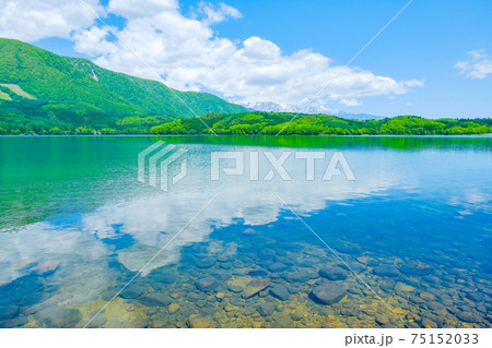 新緑の青木湖 新緑の青木湖 75152033