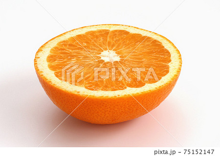 紅八朔 紅八朔 75152147