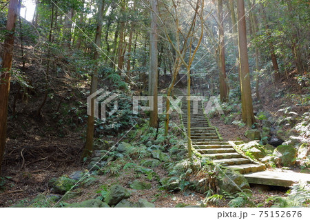 山中の散歩道 75152676