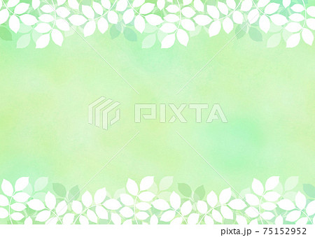 背景素材_木の葉 新緑 若葉 青葉 背景素材_木の葉 新緑 若葉 青葉 75152952