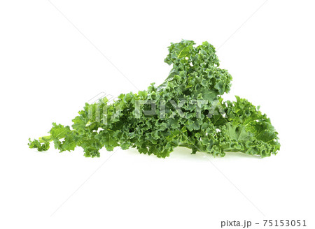 Kale leaf salad vegetable isolated on white background 75153051