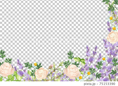 Herb garden frame watercolor illustration Herb garden frame watercolor illustration 75153390