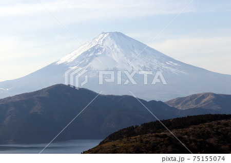 早春の富士山と箱根芦ノ湖 ターンパイク大観山から 早春の富士山と箱根芦ノ湖 ターンパイク大観山から 75155074