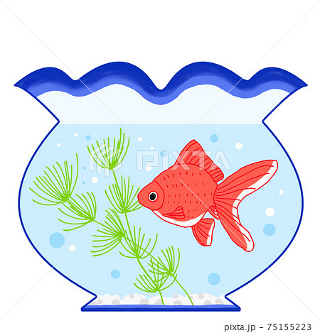 金魚が泳いでいる金魚鉢のイラスト 75155223