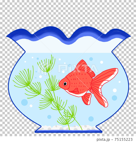 金魚が泳いでいる金魚鉢のイラスト 75155223