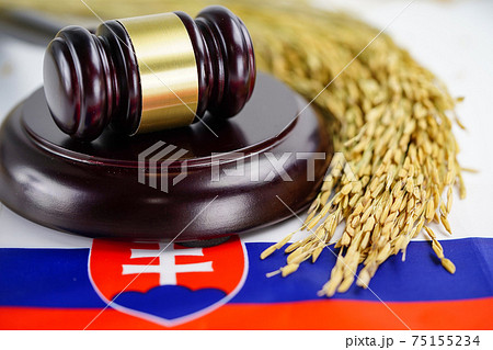 Slovakia flag and gavel for judge lawyer with gold grain rice from agriculture farm. Slovakia flag and gavel for judge lawyer with gold grain rice from agriculture farm. 75155234