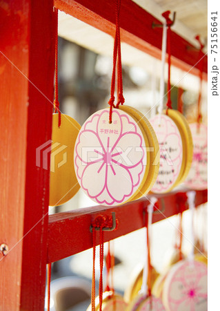 平野神社　桜の絵馬 75156641
