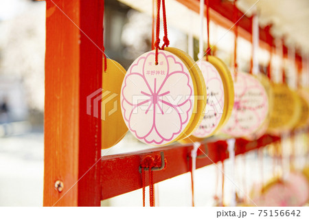 平野神社　桜の絵馬 75156642