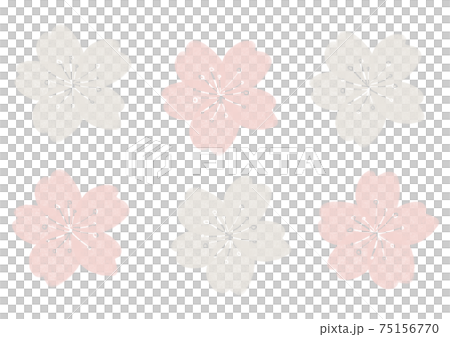 Cherry background Cherry background 75156770