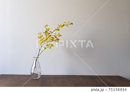 オレンジジューム　黄色　雀蘭　花　フラワー 75156934