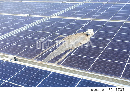 鳥のフンで汚れた太陽光パネル 75157054