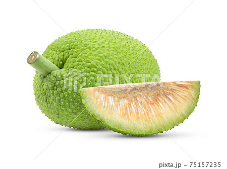 breadfruit on white background 75157235