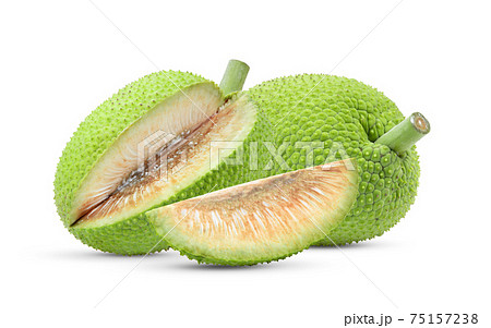 breadfruit on white background 75157238