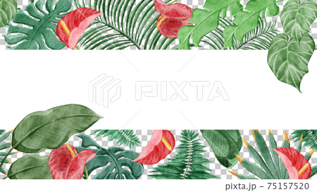 Tropical plant tropical frame decoration 75157520