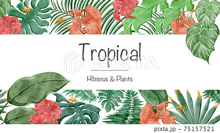 熱帯植物トロピカルハイビスカスフレームデコレーションのイラスト素材