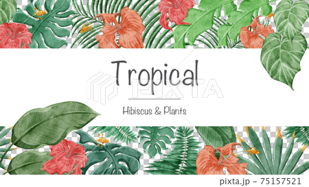 熱帯植物トロピカルハイビスカスフレームデコレーション 75157521
