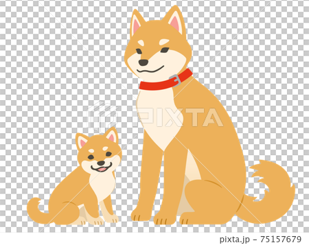 柴犬父母和孩子的插圖 75157679