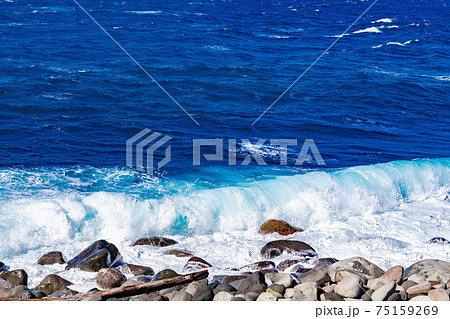 静岡県沼津市井田　荒波の井田海岸　 75159269