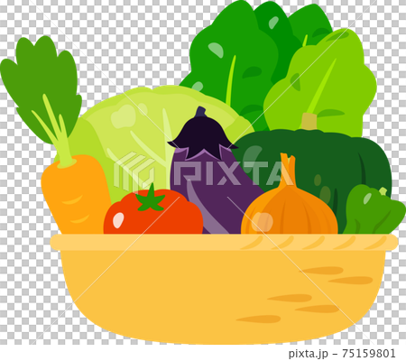 カゴに入ったたくさんの野菜 カゴに入ったたくさんの野菜 75159801