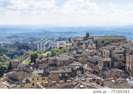 Top view of medieval houses, churches, castles and surroundings of Siena, Italy 75160383