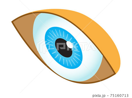 Human eye isometric icon vector. Isometric medical ophthalmologist eyesight sign. 3d human organ symbol. Human eye isometric icon vector. Isometric medical ophthalmologist eyesight sign. 3d human organ symbol. 75160713