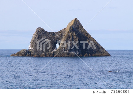 積丹半島-窓岩(神恵内村) 積丹半島-窓岩(神恵内村) 75160802