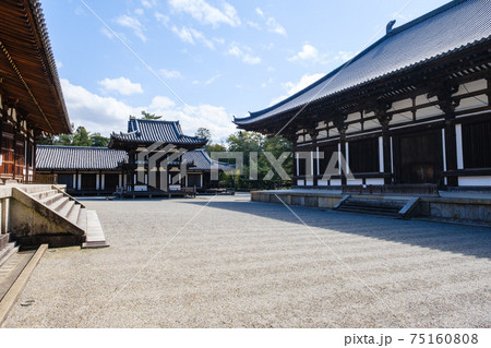 唐招提寺 (奈良県奈良市 2021/03/04撮影) 75160808