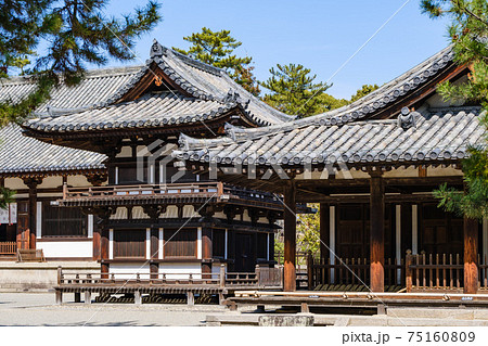 唐招提寺 (奈良県奈良市 2021/03/04撮影) 75160809