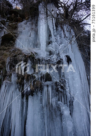 乙女滝下の氷瀑 75161399