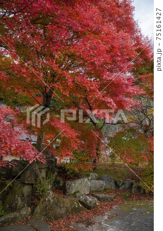 紅葉　奥多摩 山のふるさと村　11月 75161427