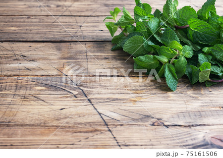 Fresh sprigs of fragrant mint on a wooden background with copy space. Fresh sprigs of fragrant mint on a wooden background with copy space. 75161506
