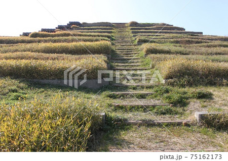 堺市の土塔 堺市の土塔 75162173