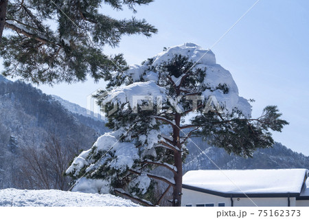 風景 山 雪岳山 75162373