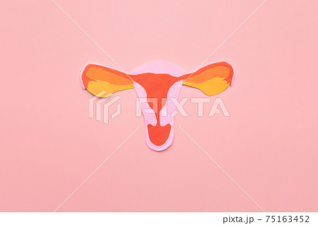Uterus shape made frome paper on pink background. Awareness of uterus illness such as endometriosis, PCOS, STDs or gynecologic cancer. Female reproductive health concept. Uterus shape made frome paper on pink background. Awareness of uterus illness such as endometriosis, PCOS, STDs or gynecologic cancer. Female reproductive health concept. 75163452