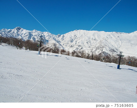 Hakuba47 Winter Sports Park　パノラマコースから五竜岳と唐松岳遠望 75163605