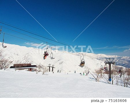 Hakuba47 Winter Sports Park　パノラマコースから八方尾根遠望 75163606