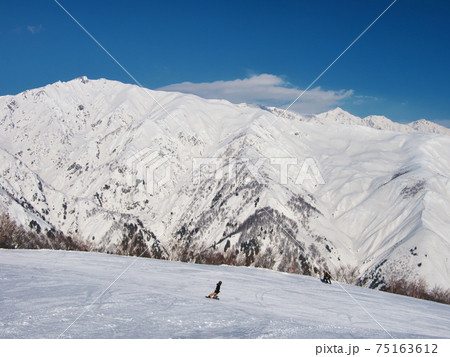 Hakuba47 Winter Sports Park　アルプス平ゲレンデから唐松岳遠望 75163612