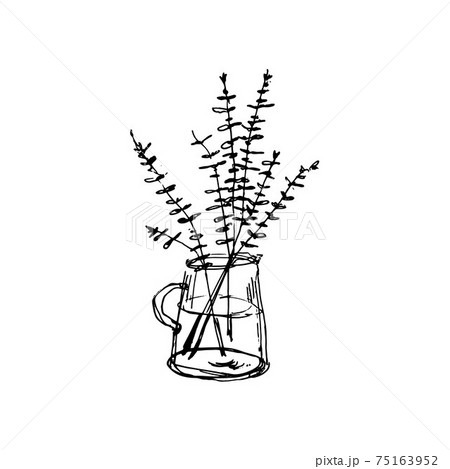 シンプル　水差し　ユーカリ　線画 75163952