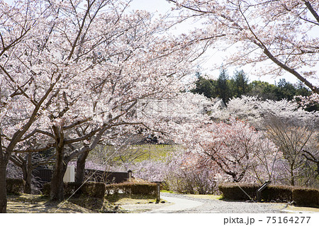 常陸風土記の丘 金龍橋 常陸風土記の丘 金龍橋 75164277