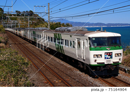 海岸線を行く特急踊り子（185系15両） 75164904