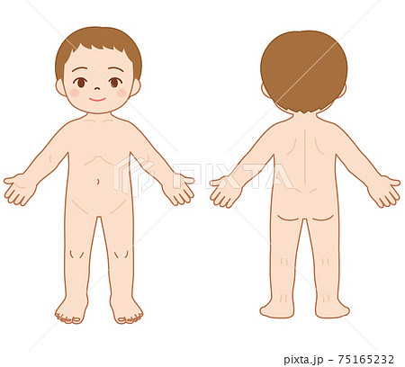 幼児 人体 幼児 人体 75165232